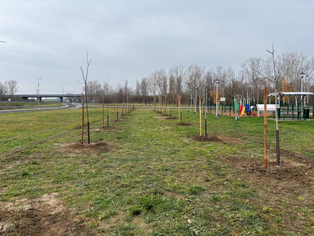 Bemutatkozás – English