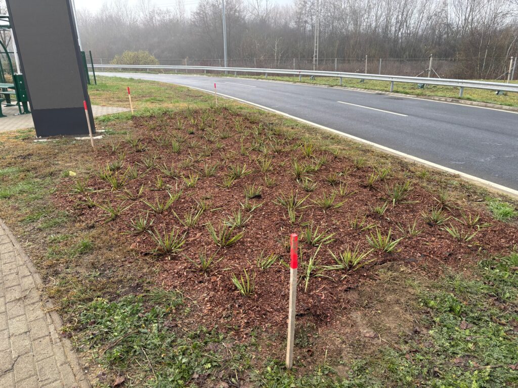 Bemutatkozás – Deutsch