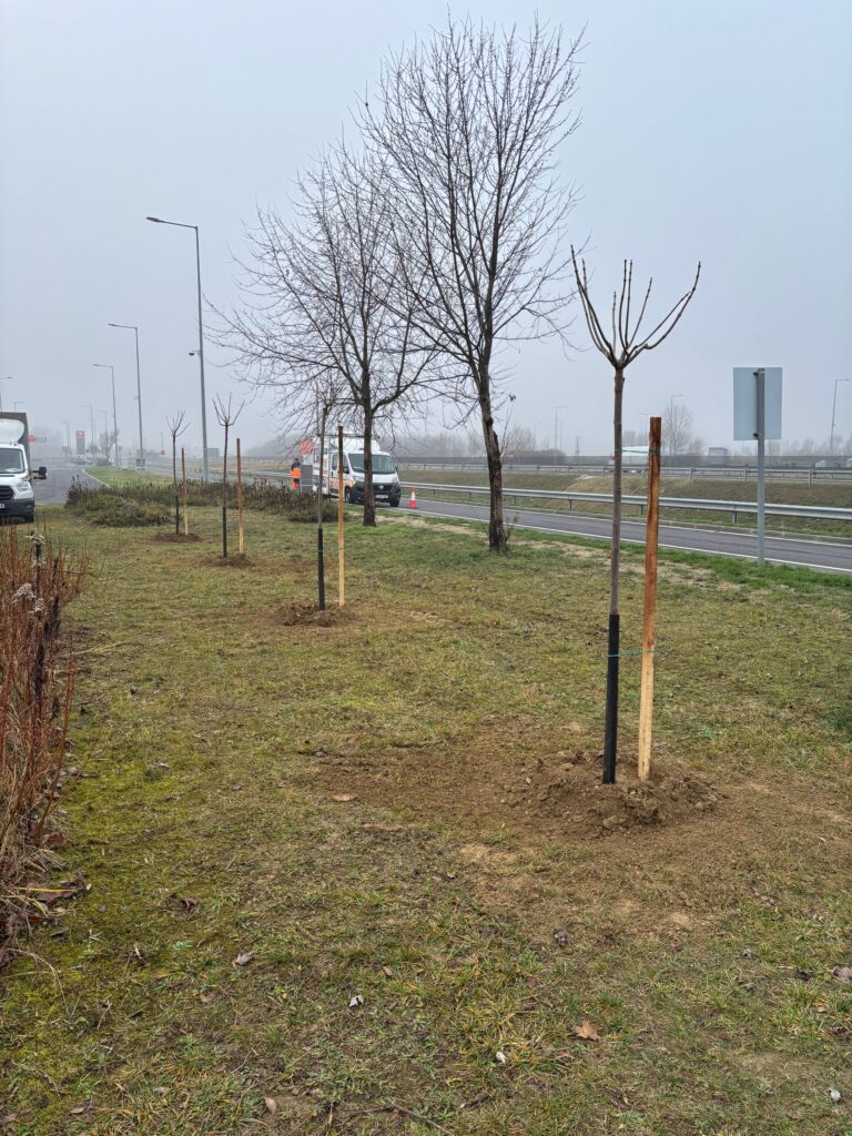 Bemutatkozás – English