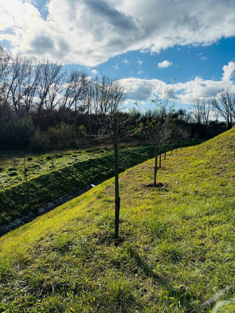 Bemutatkozás – English