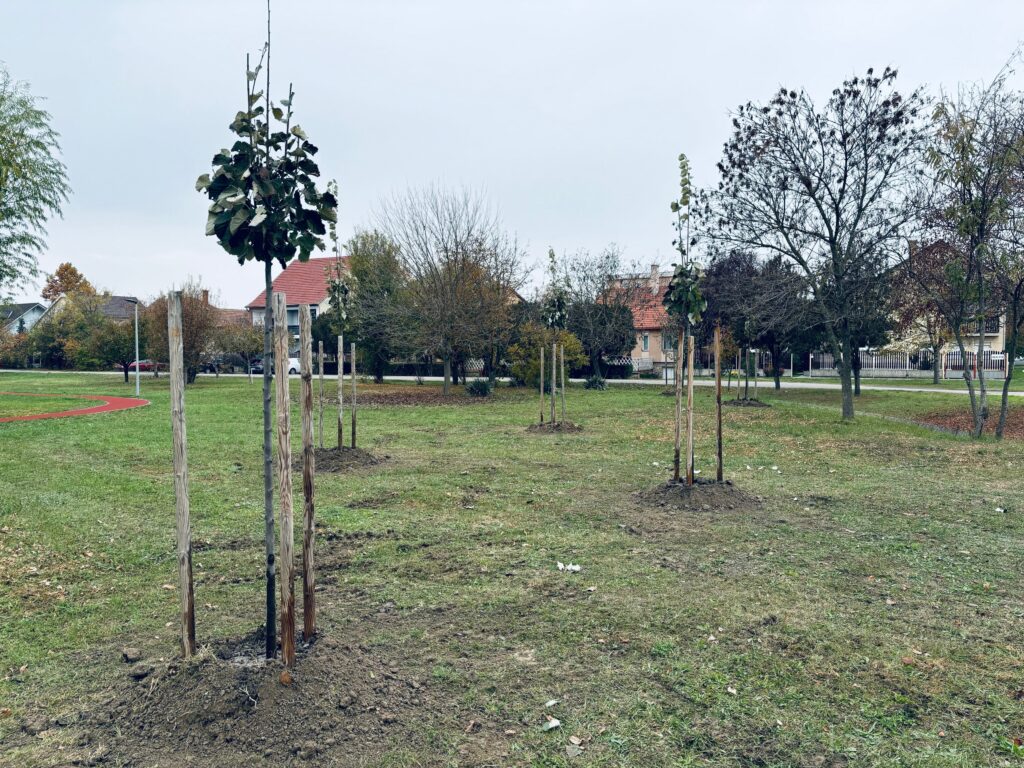 Bemutatkozás – Deutsch